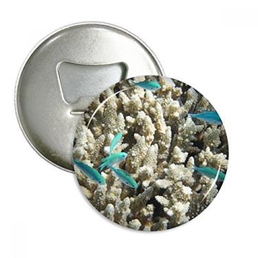Imagem de Peixe oceano coral ciência natureza abridor de garrafas ímã de geladeira emblema multifuncional