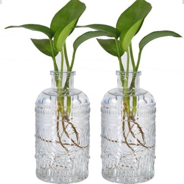 Imagem de TIWPAJS 2 vasos de propagação para plantas, vasos de botão, pequeno vaso de vidro para flores, decoração de casa, decoração de mesa, decoração de prateleira, decoração de mesa, decoração de escritório