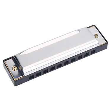 Imagem de 10 Hole Metal Harmonica Folk Harmonica Organ Rock Harmonica para Iniciantes e Amantes da Gaita e Gaita