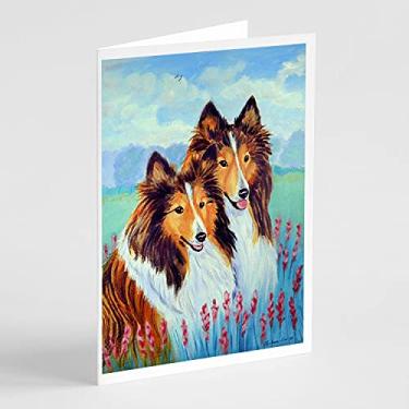 Imagem de Caroline's Treasures 7086GCA7P Sable Shelties Cartões de felicitações com problemas duplos e envelopes, pacote com 8, 7 x 5, multicolorido