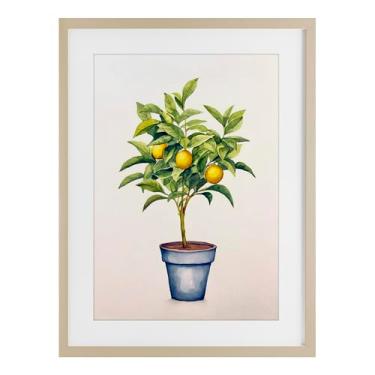 Imagem de Stupell Industries Impressão emoldurada de bétula de planta serenata cítrica design sob vidro por Andrea Haase, 23 x 17