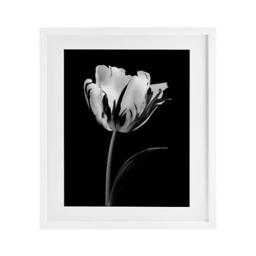 Imagem de Stupell Industries Impressão emoldurada de flores modernas em preto e branco sob vidro, design da CAD Designs, 53 x 43 cm