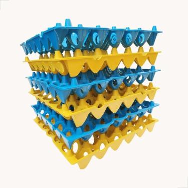 Imagem de 2X Porta Ovo Cartela Plástica Bandeja Higiênica 6 Unidades F