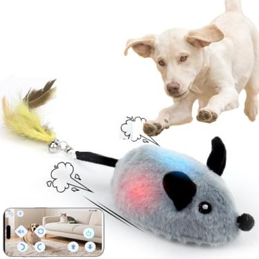 Imagem de BABORUI Rato interativo para cães, controle automático e aplicativo, ratos que escapam com luzes e rotação automática, brinquedos recarregáveis para cães e gatos pequenos/médios/grandes (cinza)
