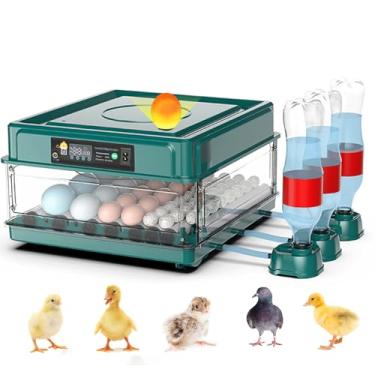Imagem de Abustle pig Incubadora Automática De Ovos 12-38 Ovos Incubadora Inteligente Automática De Aves Para Ovos Para Chocagem, Com Virador Automático, Ovoscopia E Controle De Temperatura, Para Ovos De Gali
