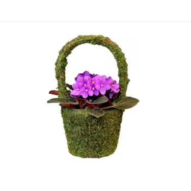 Imagem de SuperMoss Cesta de musgo Vista Deco 55591 – Vaso decorativo com forro para arranjos florais internos e externos – Ideal para suculentas, orquídeas e presentes, pequeno 11 x 14 cm x 20 cm, verde fresco