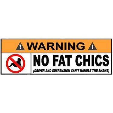 Imagem de Adesivo Legal Metalizado Tanque De Moto Carro No Fat Chics - VilelaGG