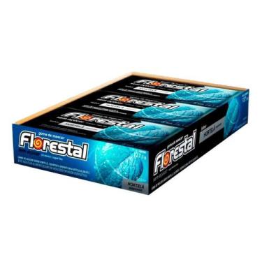 Imagem de Chiclete Florestal Hortelã com 15 unidades (sem açúcar)
