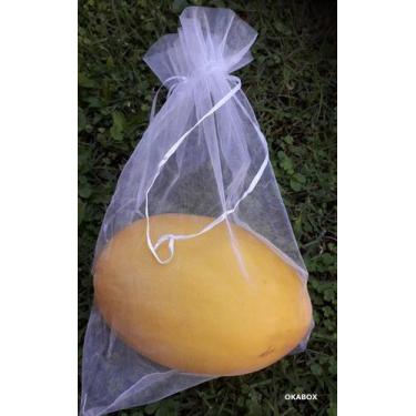 Imagem de 100 Sacos Para Proteção Frutas No Pe Lavável  20x30 cm - OKABOX
