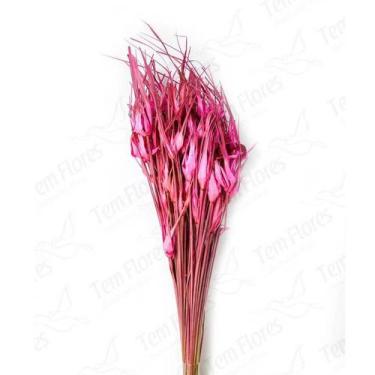 Imagem de Capim Estrela Flor Desidratada Buque Flores Secas - Pense Flores, Pink