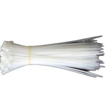 Imagem de Abraçadeira Nylon Enforca Gato 2,5X150Mm 100Un Tradestar Bco