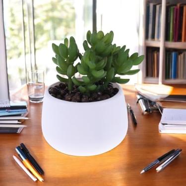 Imagem de Generic 1 peça de plantas artificiais suculentas com plantador plástico PVC verde 11 x 11 x 12 cm