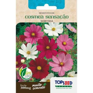 Imagem de Semente Cosmea Sensação (Sortida) F055 Topseed