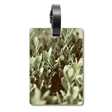 Imagem de Sunshine Leaves Plant Picture Nature Suitcase Bag Tag Luggage Card Scutcheon Label