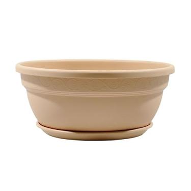 Imagem de Cuia Vic com Prato Desli Areia - 35 cm