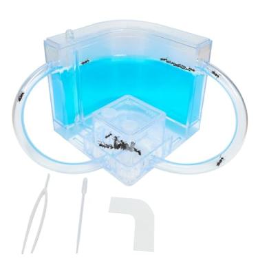 Imagem de EXBEPE Ant Farm for Kids Gel Ant Castle Colony Ecosystem Terrarium kit, Ant Habitat Science Learning Kit