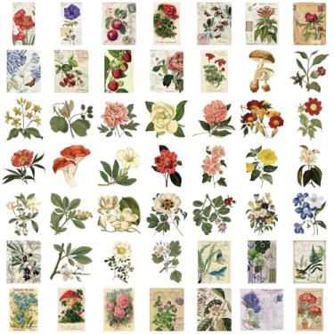 Imagem de 50 peças de adesivos de flores botânicas vintage - Decalques PET transparentes à prova d'água para diário, agendas, scrapbooking, artesanato