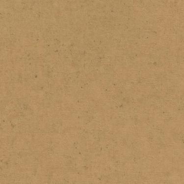 Imagem de Papel de Parede Concrete Concreto Marrom 520897