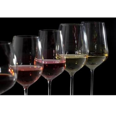 Imagem de Taça para Vinho Lyor Confraria de Cristal 5400ml - Wolff