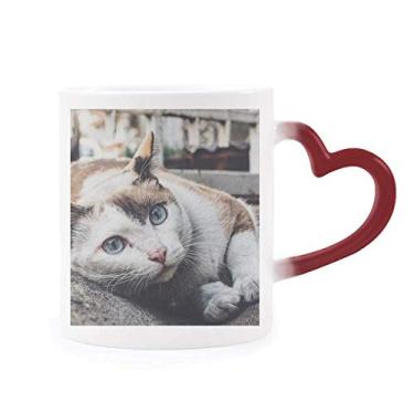 Imagem de Caneca colorida com foto de gato colorida com imagem sensível ao calor Caneca de grés que muda de cor vermelha