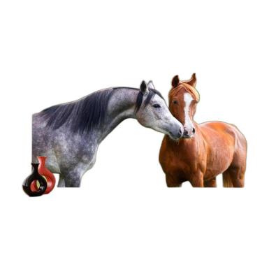 Imagem de Papel De Parede Animais Casal Cavalos Fazenda 3,5M Anm325