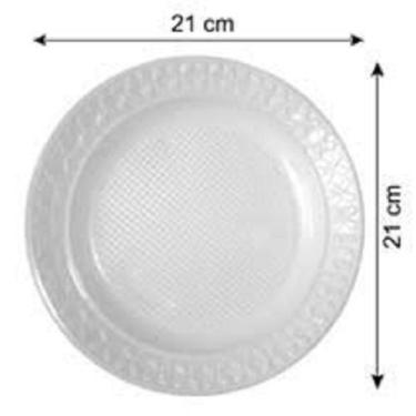 Imagem de Prato Raso Descartável 21cm Churrasco Caixa Fechada 500 Unidades - Fon