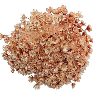 Imagem de Buquê de 300 Florzinhas, Sempre Viva e Mosquitinhos, Decorativo para Casa e Festas(Ocre)