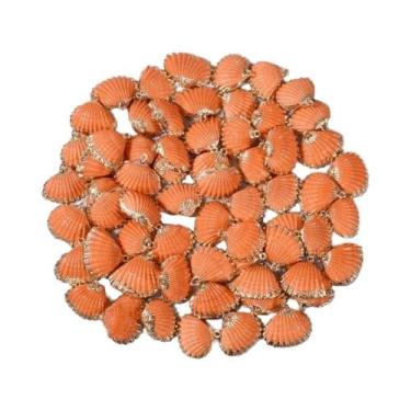 Imagem de Pingentes Espirais De Conchas Perfuradas Coloridas 5 Peças Suprimentos