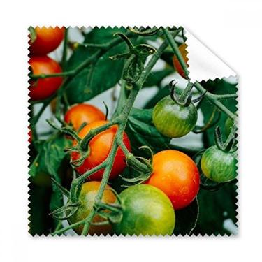 Imagem de Pano de limpeza de imagem de frutas temperadas frescas para limpeza de tela de telefone, 5 peças