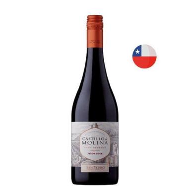 Imagem de Vinho Tinto Chileno Castillo De Molina Gran Reserva Pinot Noir - Viña 
