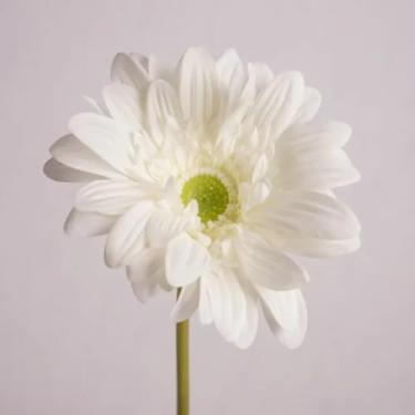 Imagem de 5 peças de flores artificiais hidratantes de gerbera com toque real, decoração para casamento, buquê de noiva, festa, decoração floral para casa, girassol (gerbera branca)