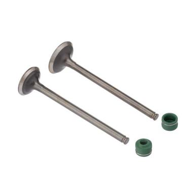 Imagem de Valvula E Retentor Kit (4pcs) Ww3 Cb 250f Twister 16/22