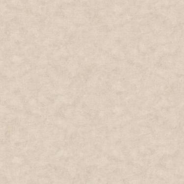 Imagem de Papel de Parede Nature Pedra Bege TONU8008