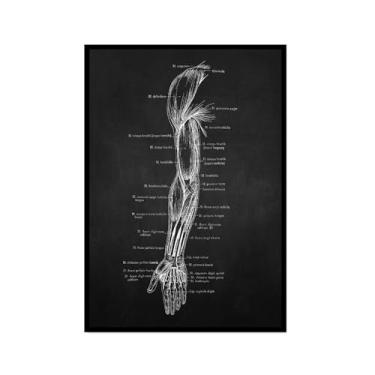 Imagem de Fundo preto anatomia humana arte médica impressões em tela imagens esqueleto músculo pôster vintage educação pintura arte decoração de parede (SKU3,20.3x30.5 cm = (20x30cm), moldura preta para fotos)