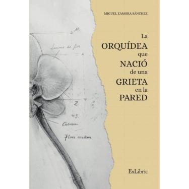 Imagem de La orquídea que nació de una grieta en la pared - Espanhol