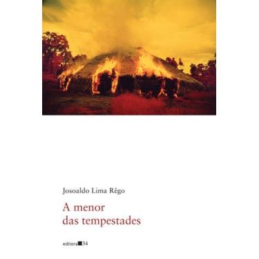 Imagem de Livro - A menor das tempestades