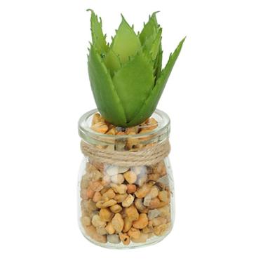 Imagem de Vaso Com Suculenta Folha Alta Verde Escuro 10X7 Cm - Du0027Rossi