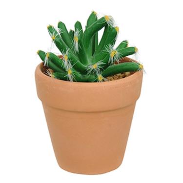 Imagem de Vaso Com Cacto Castelo De Fada Verde 14X6 Cm - Du0027Rossi