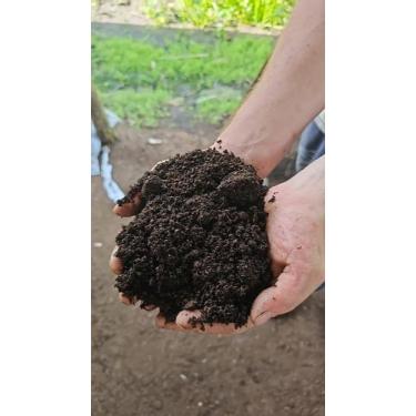 Imagem de Humus de Minhoca Adubo Orgânico Natural para seu Jardim Vaso Horta Env