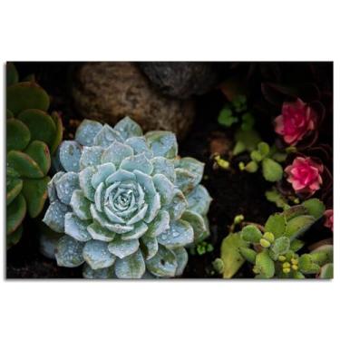 Imagem de 1126 Succulent Poster Plant Canvas Prints Nature Wall Art For Home 1 painéis Decorações Noframed 30.5 cmx20.3 cm