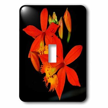 Imagem de 3dRose Capa para interruptor de luz de orquídeas tropicais laranja miniatura foto de foto macro lsp_179649_1 a