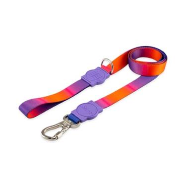 Imagem de Dog Trip Brasil Coleira Guia Para Cães Cachorro Adestramento Passeio Porte Grande Médio Pequeno (Padang, P)