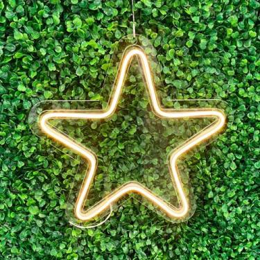 Imagem de Painel Neon Led Estrela Festa Decoração Aniversário Um Ano - bloom