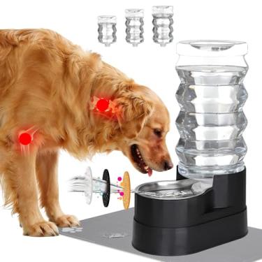 Imagem de RIZZARI Tigela dispensadora de água para cães: alimentador automático grande de aço inoxidável preto 9L - para cães bom para a saúde das articulações - Garagem de jardim