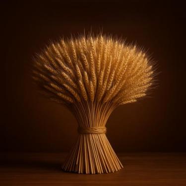 Imagem de Hastes de Trigo Seco para Decoração Arranjos Mesa Casamento Artesanato Natural Elegante(500)