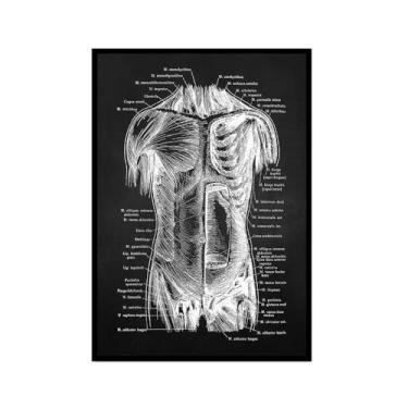 Imagem de Fundo preto anatomia humana arte médica impressões em tela imagens esqueleto músculo pôster vintage educação pintura arte decoração de parede (SKU1,30.5x45.7 cm = (30x45 cm), moldura preta para fotos)