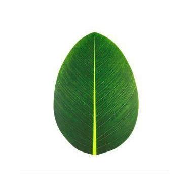 Imagem de Lugar americano folha de eva - LYOR, Único