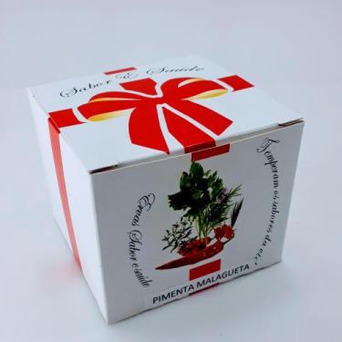 Imagem de kit plantio Pimenta Malagueta - Horta e Jardim