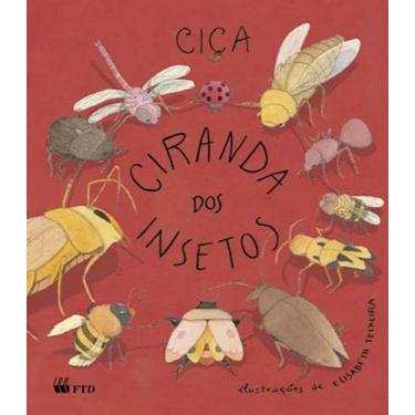 Imagem de Livro - Ciranda dos insetos