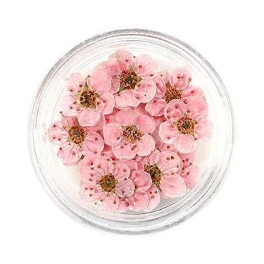 Imagem de Flores Secas Prensadas De Narciso E Flor De Ameixa 20pçs Para Resina E